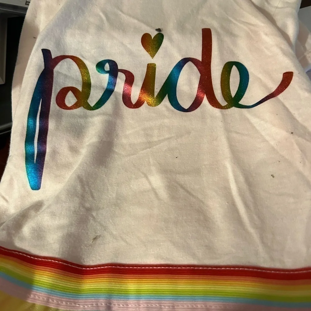 YOU Are Loved Dog Pride Dress Size Large